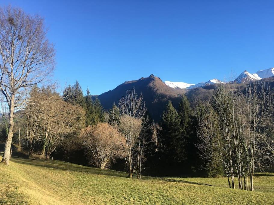 Top Floor Apartment With Mountain Views In The Centre Of Argeles Gazost 外观 照片